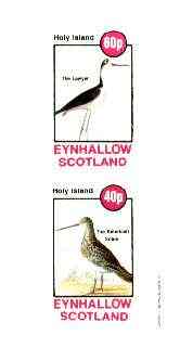 Eynhallow 1982 Birds #40 (Lawyer Bird & Snipe) imperf set of 2 values unmounted mint