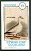 Eynhallow 1982 Birds #13 (Snow Goose) imperf souvenir sheet (£1 value) unmounted mint