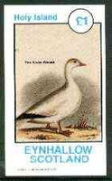 Eynhallow 1982 Birds #13 (Snow Goose) imperf souvenir sheet (£1 value) unmounted mint