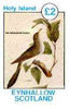 Eynhallow 1982 Birds #13 (Yellow-billed Cuckoo) imperf deluxe sheet (£2 value) unmounted mint