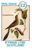 Eynhallow 1982 Birds #13 (Yellow-billed Cuckoo) imperf deluxe sheet (£2 value) unmounted mint