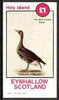 Eynhallow 1982 Birds #41 (White-fronted Goose) imperf souvenir sheet (£1 value) unmounted mint