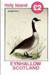 Eynhallow 1982 Birds #41 (Wild Goose) imperf deluxe sheet (£2 value) unmounted mint