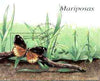 Sahara Republic 1999 Butterflies perf miniature sheet fine cto used
