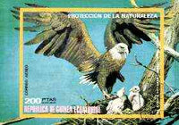 Equatorial Guinea 1976 North American Birds (Eagle 200p) imperf m/sheet fine cto used, MI BL 251