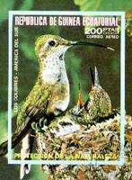 Equatorial Guinea 1974 South American Birds (200p) imperf m/sheet fine cto used, MI BL 149