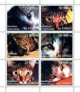 Congo 1997 Domestic Cats perf sheetlet containing complete set of 6 values unmounted mint