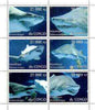 Congo 1997 Sharks perf sheetlet containing complete set of 6 values unmounted mint