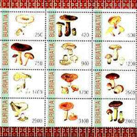 Buriatia Republic 1998 Fungi #08 perf sheetlet containing complete set of 12 values unmounted mint