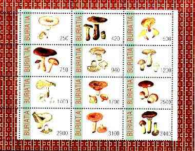 Buriatia Republic 1998 Fungi #08 perf sheetlet containing complete set of 12 values unmounted mint