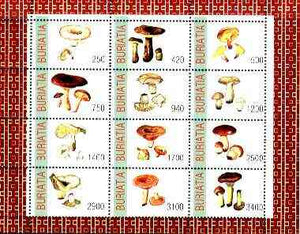 Buriatia Republic 1998 Fungi #08 perf sheetlet containing complete set of 12 values unmounted mint