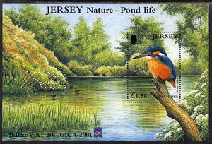 Jersey 2001 Europa - Pond Life perf m/sheet showing Kingfisher with 'Belgica 2001' logo, unmounted mint SG MS998