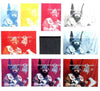 Shetland Islands 19?? The Vikings imperf souvenir sheetl (£1 value) the set of 9 imperf progressive proofs comprising the 4 individual colours, plus various 2, 3 and all 4-colour composites, unmounted mint