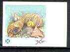 Easdale 1988 Flora & Fauna 36p (shells) imperf progressive proof in magenta, blue & yellow only unmounted mint*