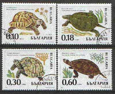 Bulgaria 1999 Tortoises complete set of 4 cto used, SG 4277-80*