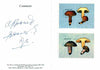 Bhutan 1989 Fungi - 25nu (Xerocomus subtomentosus) & 25nu (Russula olivacea) imperf m/sheets mounted in Folder entitled 'Your Proofs from the House of Questa', signed and approved by Director PTT, exceptionally rare ex Government archives,(Sc 735 & 736)