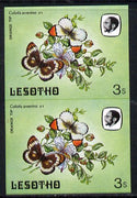 Lesotho 1984 Butterflies Orange Tip 3s in unmounted mint imperf pair