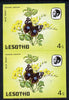 Lesotho 1984 Butterflies Blue Pansy 4s in unmounted mint imperf pair