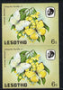 Lesotho 1984 Butterflies African Migrant 6s in unmounted mint imperf pair