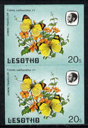 Lesotho 1984 Butterflies Lemon Traveller 20s in unmounted mint imperf pair
