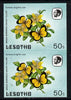 Lesotho 1984 Butterflies Broad-Bordered Grass Yellow 50s in unmounted mint imperf pair