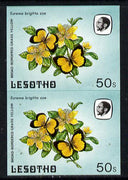 Lesotho 1984 Butterflies Broad-Bordered Grass Yellow 50s in unmounted mint imperf pair