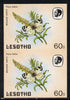 Lesotho 1984 Butterflies Meadow White 60s in unmounted mint imperf pair