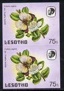 Lesotho 1984 Butterflies Queen Purple Tip 75s in unmounted mint imperf pair