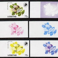 Lesotho 1984 Butterflies Queen Purple Tip 75s value x 6 imperf progressive proofs comprising various individual or combination composites