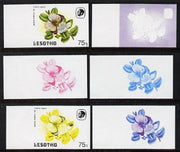 Lesotho 1984 Butterflies Queen Purple Tip 75s value x 6 imperf progressive proofs comprising various individual or combination composites