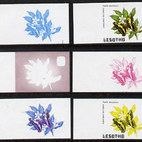Lesotho 1984 Butterflies Christmas Butterfly 5m (top value) x 6 imperf progressive proofs comprising various individual or combination composites