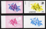 Lesotho 1984 Butterflies Foxy Charaxes 30s value x 4 imperf progressive proofs comprising various individual or combination composites