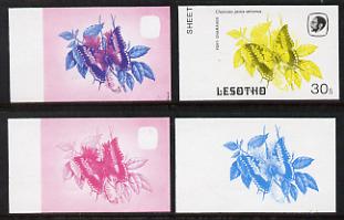 Lesotho 1984 Butterflies Foxy Charaxes 30s value x 4 imperf progressive proofs comprising various individual or combination composites