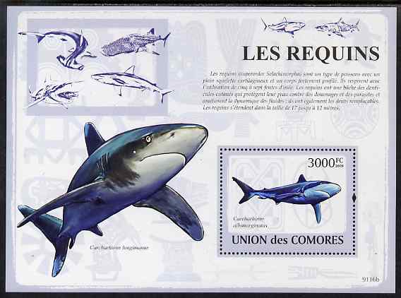 Comoro Islands 2009 Sharks perf s/sheet unmounted mint