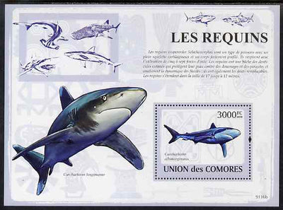 Comoro Islands 2009 Sharks perf s/sheet unmounted mint