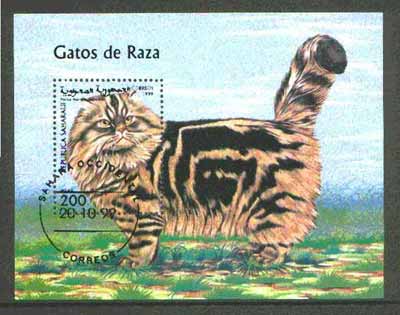 Sahara Republic 1999 Domestic Cats m/sheet fine cto used