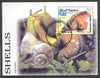 Somalia 1999 Shells m/sheet fine cto used