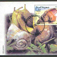 Somalia 1999 Shells m/sheet fine cto used