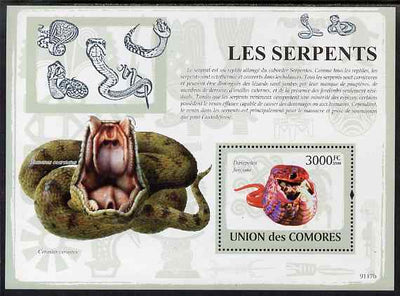 Comoro Islands 2009 Snakes perf s/sheet unmounted mint