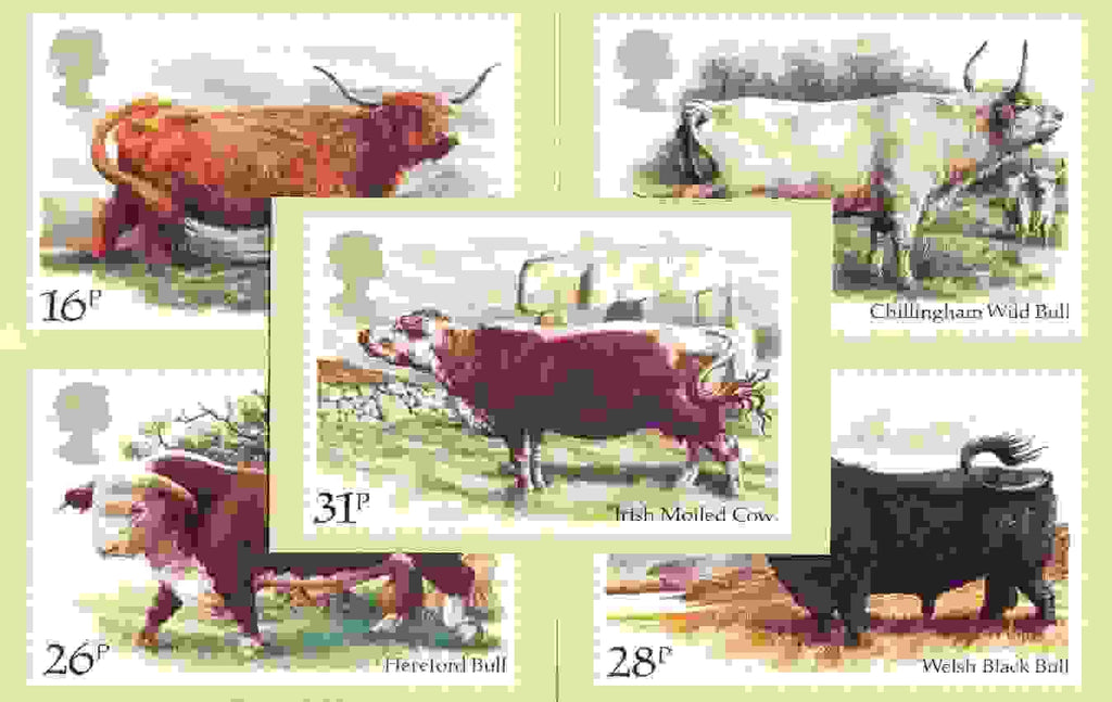 Great Britain 1984 British Cattle set of 5 PHQ cards unused and pristine
