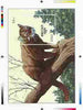 Bhutan 1990 Endangered Wildlife - Intermediate stage computer-generated essay #3 (as submitted for approval) for 25nu m/sheet (Golden Cat) 190 x 135 mm very similar to issued design plus marginal markings, ex Government archives a……Details Below
