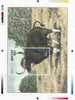Bhutan 1990 Endangered Wildlife - Intermediate stage computer-generated essay #4 (as submitted for approval) for 25nu m/sheet (Gaur) 190 x 135 mm very similar to issued design plus marginal markings, ex Government archives and probably unique (as Sc 938)