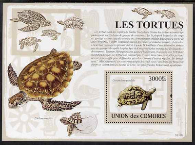 Comoro Islands 2009 Turtles perf s/sheet unmounted mint