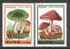 North Korea 1995 Fungi #01 perf set of 2 values, unmounted mint, SG N3496-97*