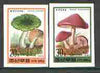 North Korea 1995 Fungi #01 imperf set of 2 values, unmounted mint, as SG N3496-97 (from limited printing)