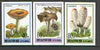 North Korea 1995 Fungi #02 imperf set of 3 values, unmounted mint, as SG N3525-27* (from limited printing)