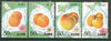 North Korea 1996 Apricots perf set of 4 unmounted mint SG N3659-62*