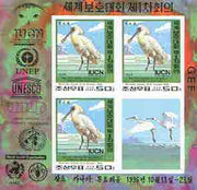 North Korea 1996 World Conservation Union imperf m/sheet containing 3 x 50ch (White Spoonbill) plus label unmounted mint as SG N3631