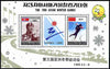 North Korea 1996 Third Asian Winter Games perf sheetlet containging set of 2 values plus label, SG MS N3575