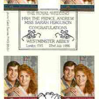 Great Britain 1986 Royal Wedding set of 2 PHQ cards with appropriate gutter pairs each very fine used with first day cancels